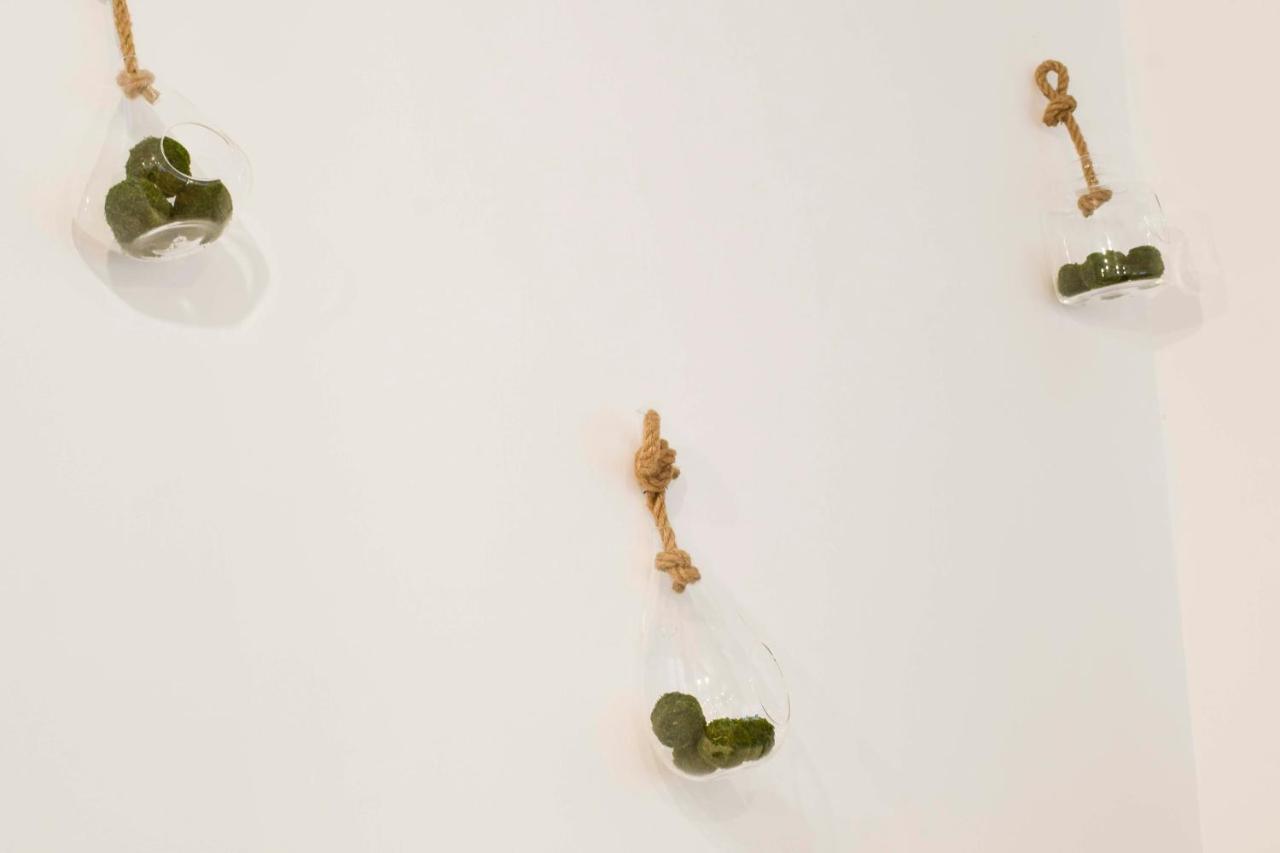 P&P Apartmens Alamos マラガ 部屋 写真